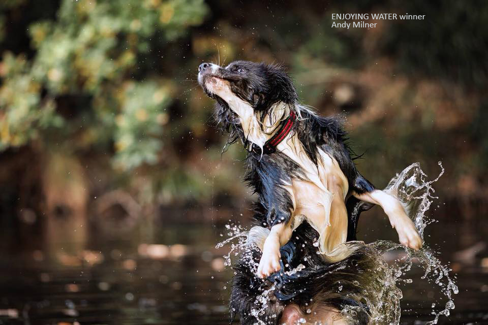 Enjoying Water